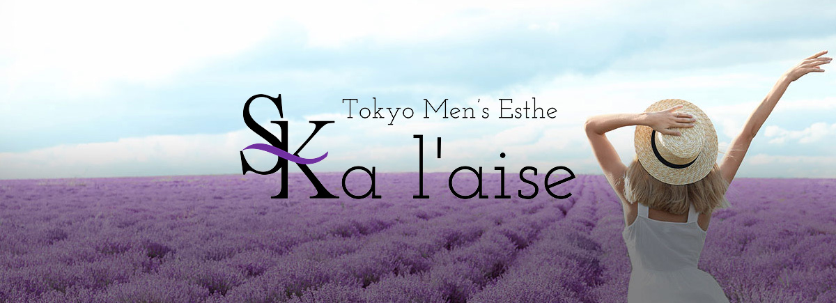 a laise(アレイズ)SK（中野ルーム）